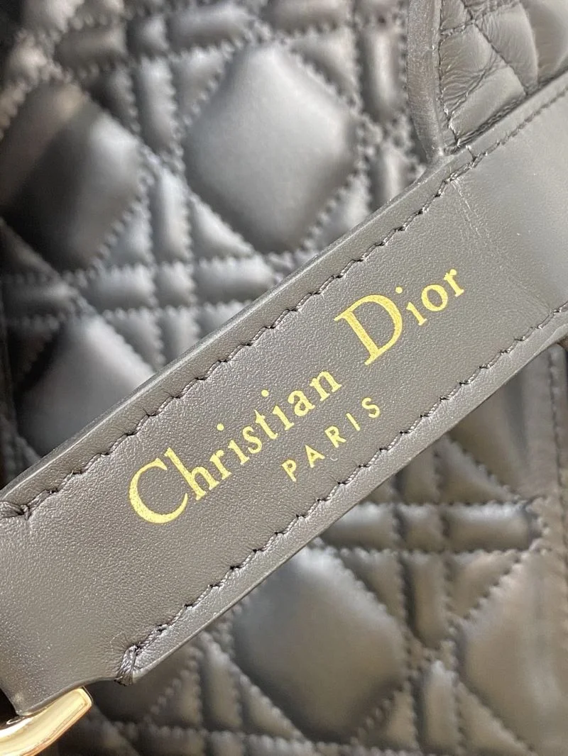 Practical Christian Dior Shopping Bags 46857