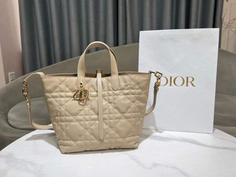 TechFriendly Christian Dior Shopping Bags 46872