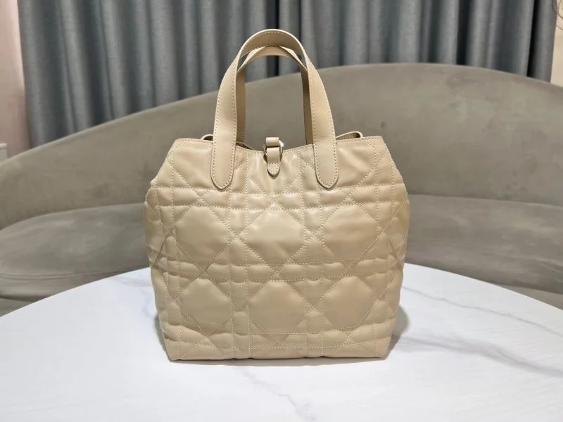 TechFriendly Christian Dior Shopping Bags 46872