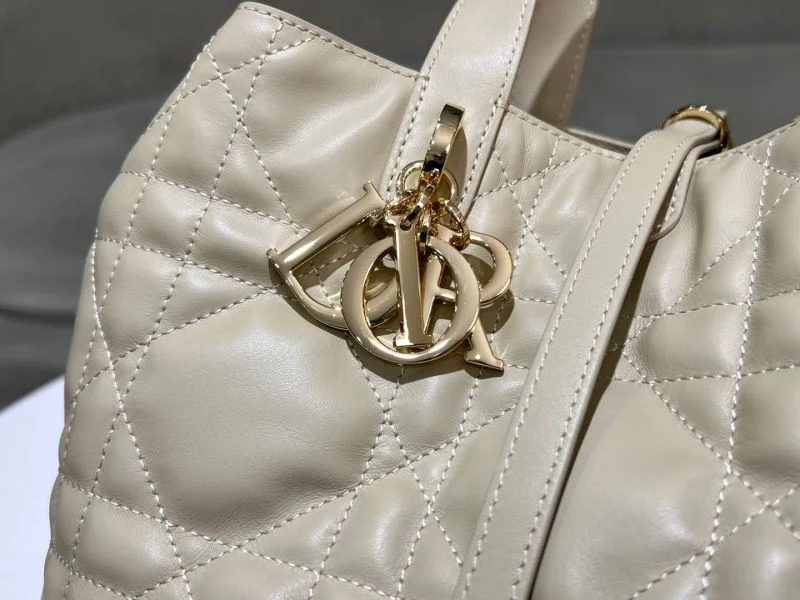 TechFriendly Christian Dior Shopping Bags 46872