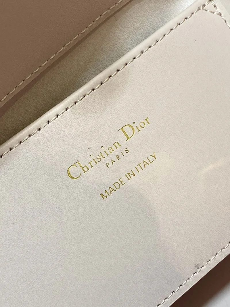 Lightweight Christian Dior Shopping Bags 46799
