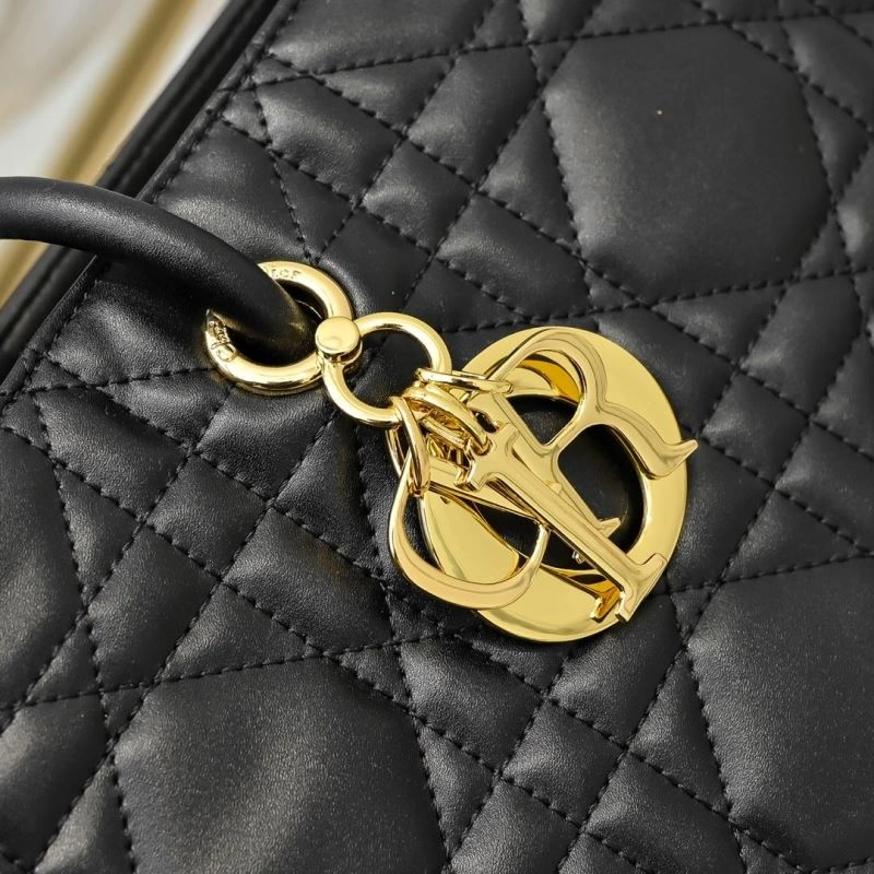 Premium Christian Dior Shopping Bags 85518