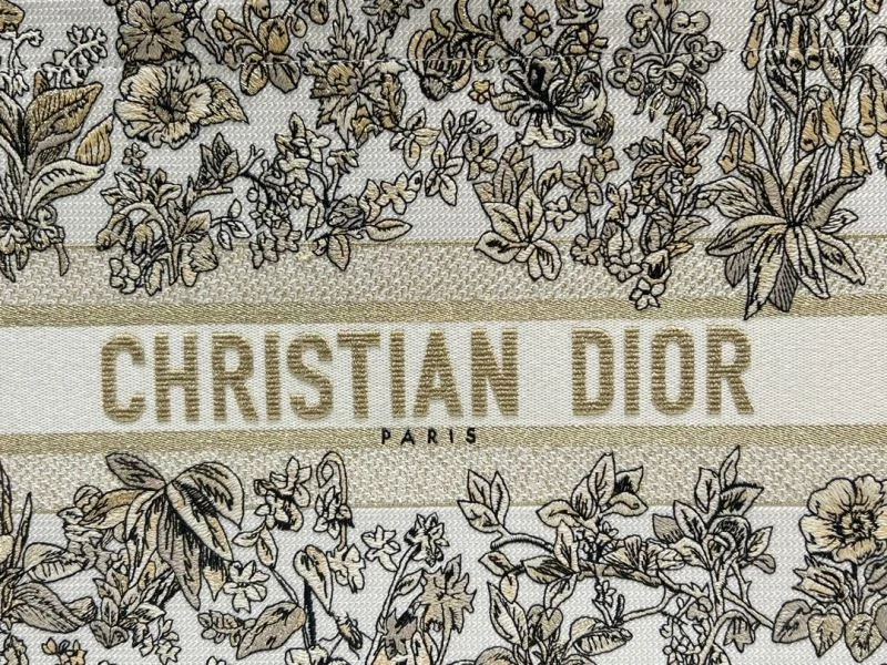 TechFriendly Christian Dior Shopping Bags 46259