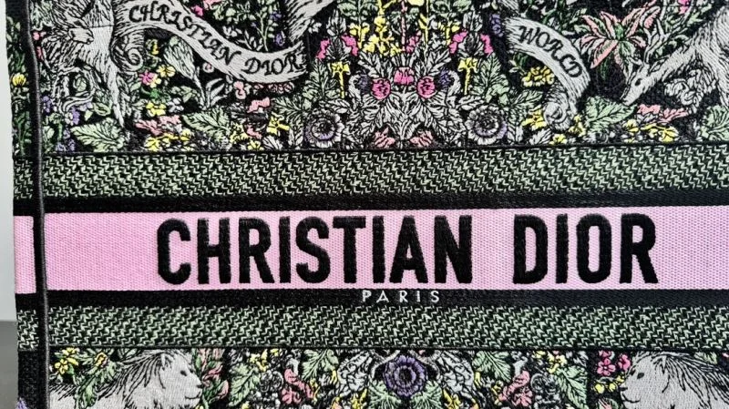 Christian Dior Shopping Bags Trendy 46257