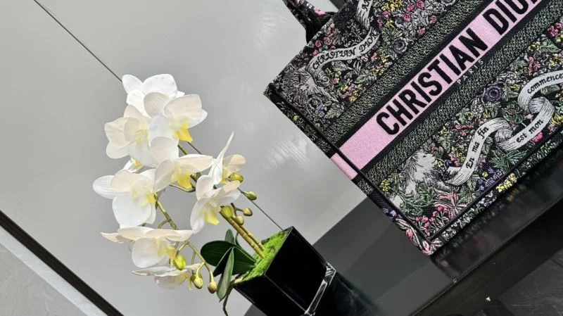 Christian Dior Shopping Bags Trendy 46257