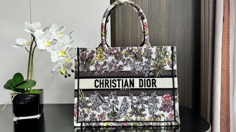 Christian Dior Shopping Bags Sleek 46256