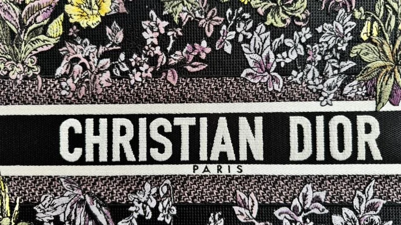 Christian Dior Shopping Bags Lightweight 46254