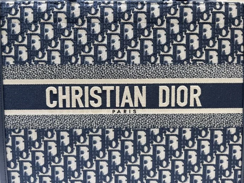 GoAnywhere Christian Dior Shopping Bags 46240