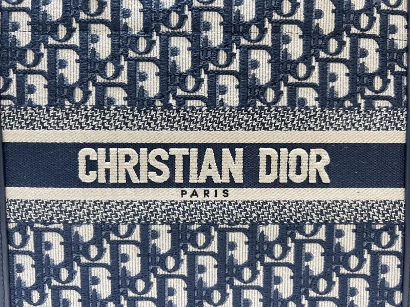 Unique Christian Dior Shopping Bags 46245