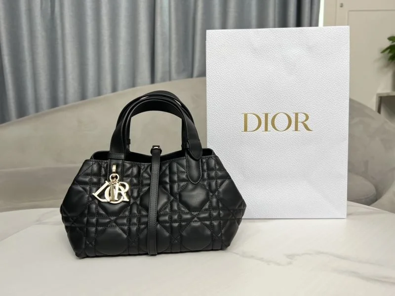 SportInspired Christian Dior Shopping Bags 46246