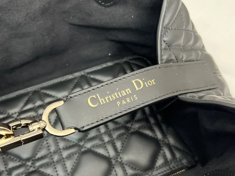 SportInspired Christian Dior Shopping Bags 46246