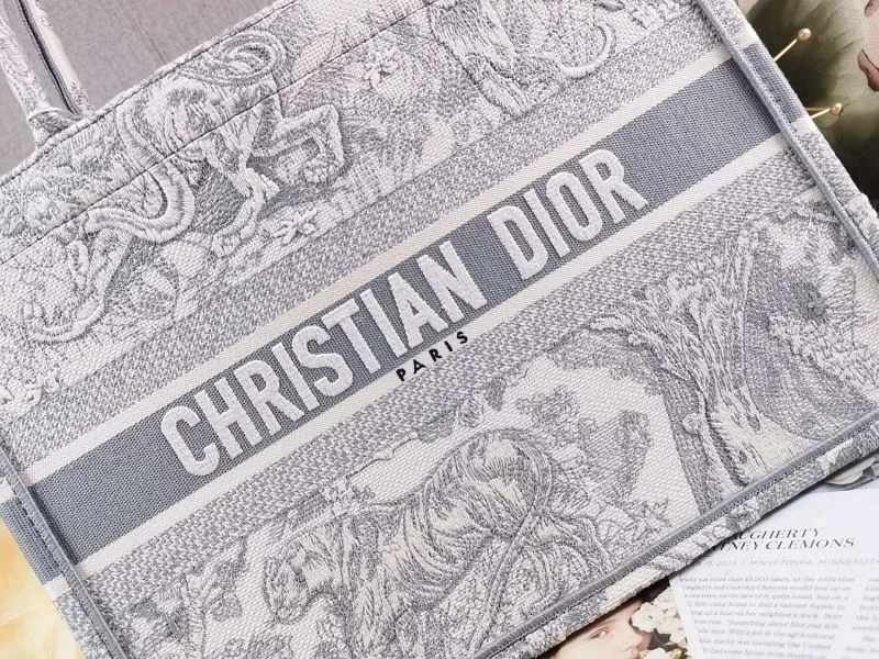 Christian Dior Shopping Bags Resilient 46228