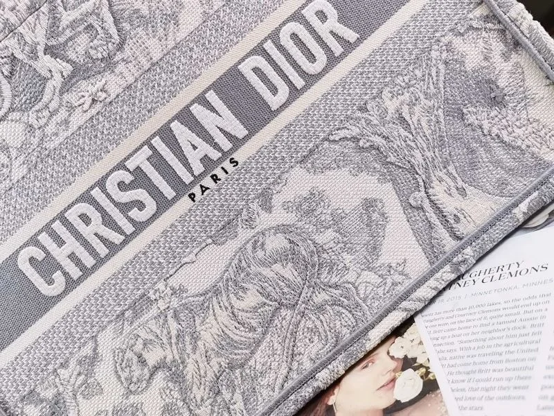 Christian Dior Shopping Bags Resilient 46228