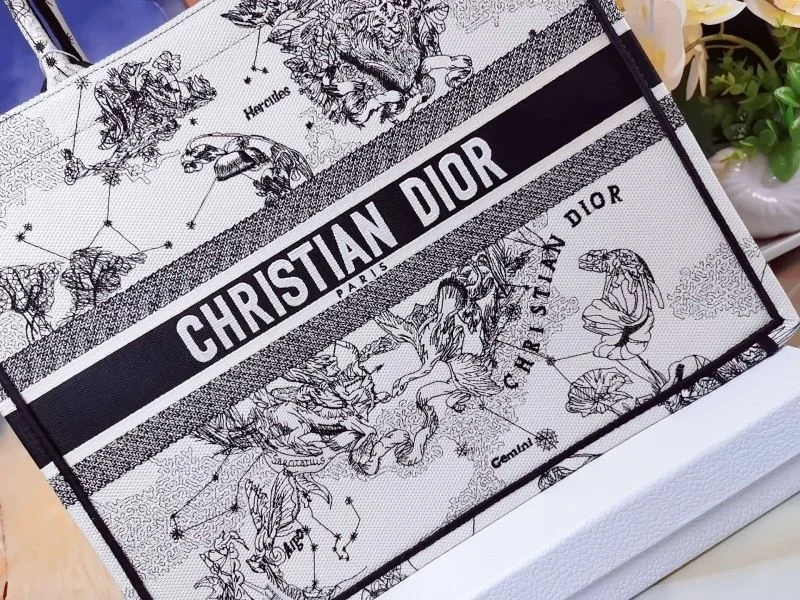 FashionForward Christian Dior Shopping Bags 46208