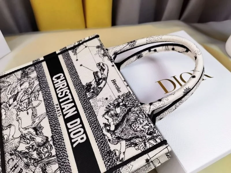 Christian Dior Shopping Bags QuickDry 46207