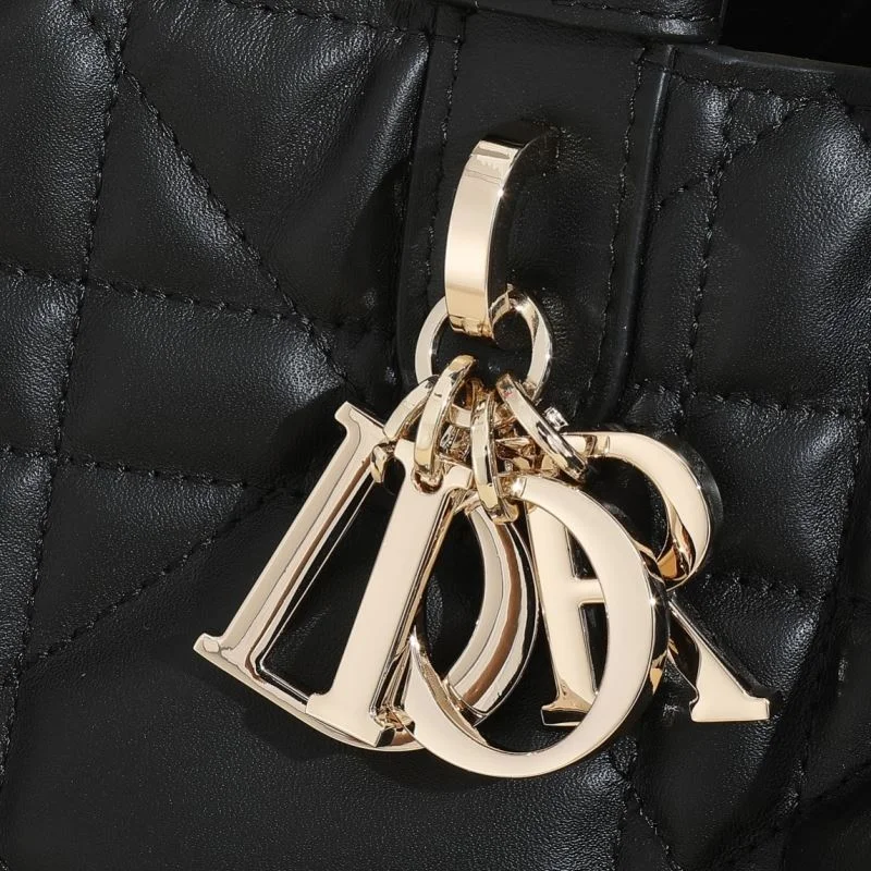 ZeroBulk Christian Dior Shopping Bags 46192