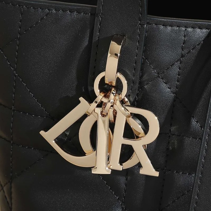 Christian Dior Shopping Bags EyeCatching 46187