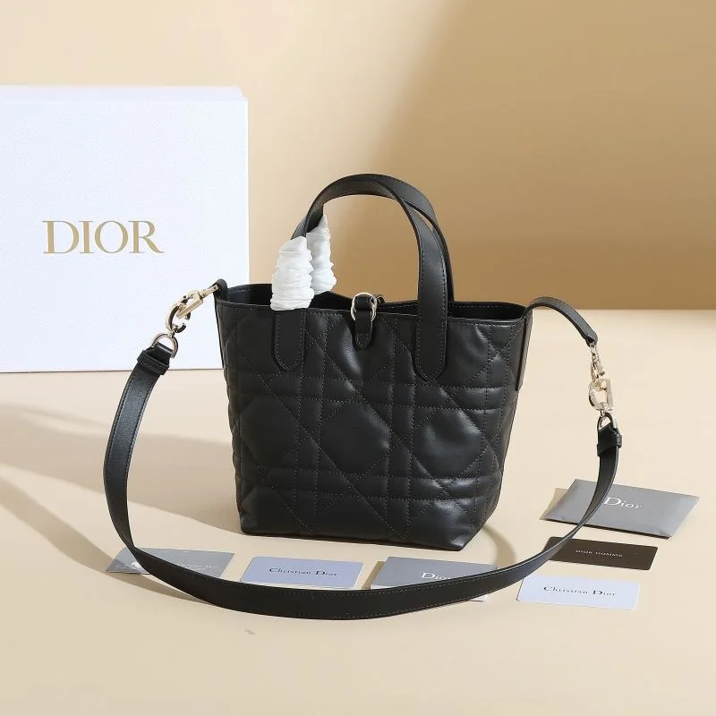 Christian Dior Shopping Bags EyeCatching 46187