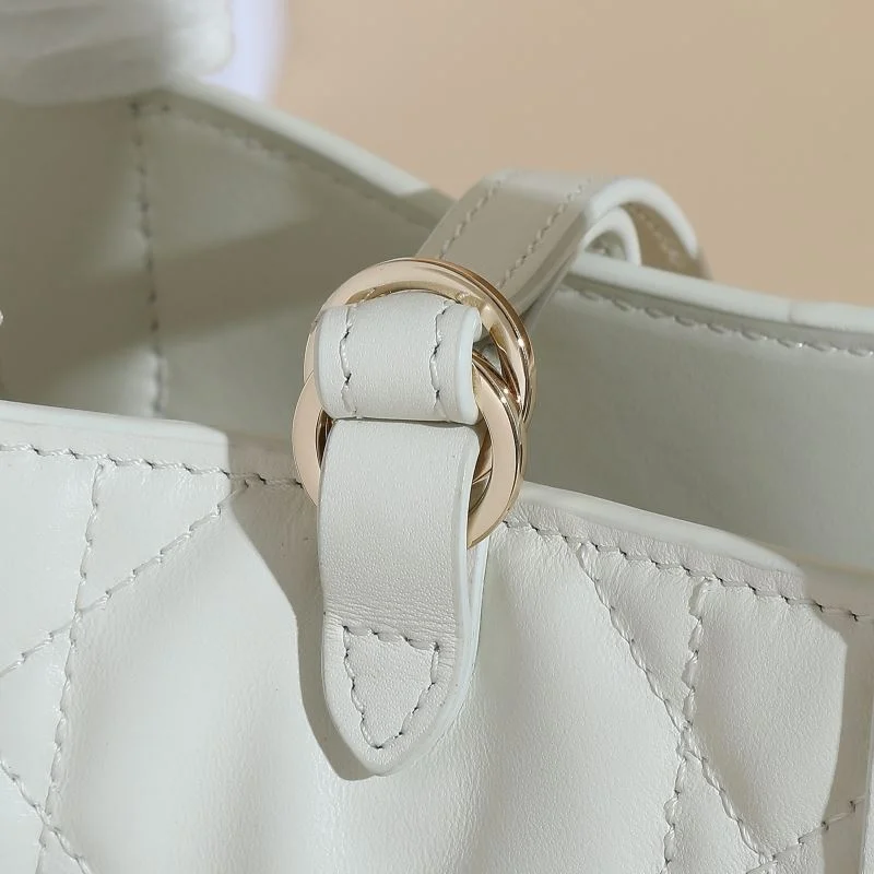 ZipUp Christian Dior Shopping Bags 46184