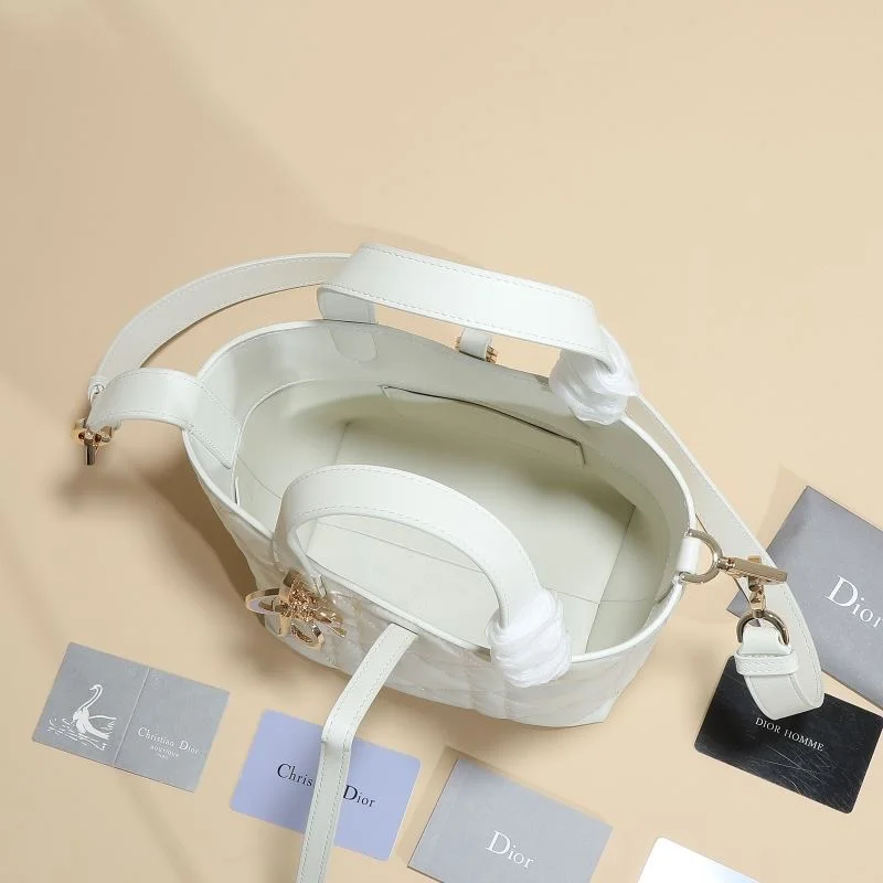 ZipUp Christian Dior Shopping Bags 46184