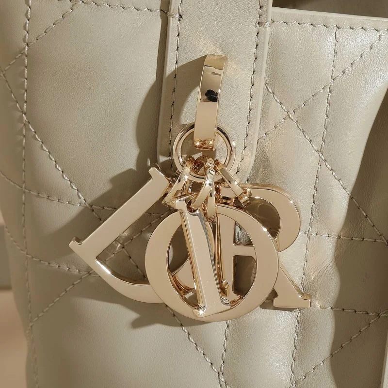 Attractive Christian Dior Shopping Bags 46185