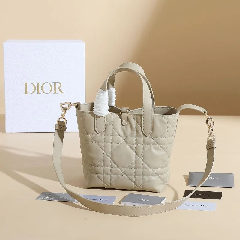 Attractive Christian Dior Shopping Bags 46185