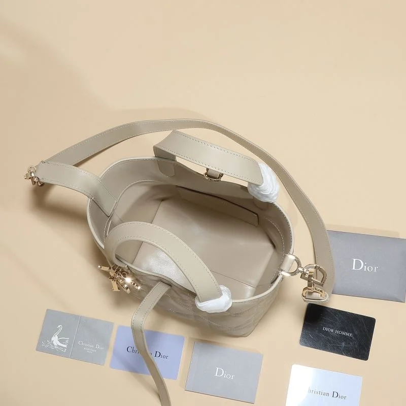 Attractive Christian Dior Shopping Bags 46185