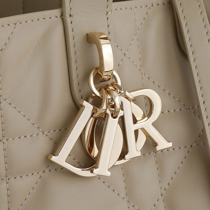 Christian Dior Shopping Bags DailyWear 46218