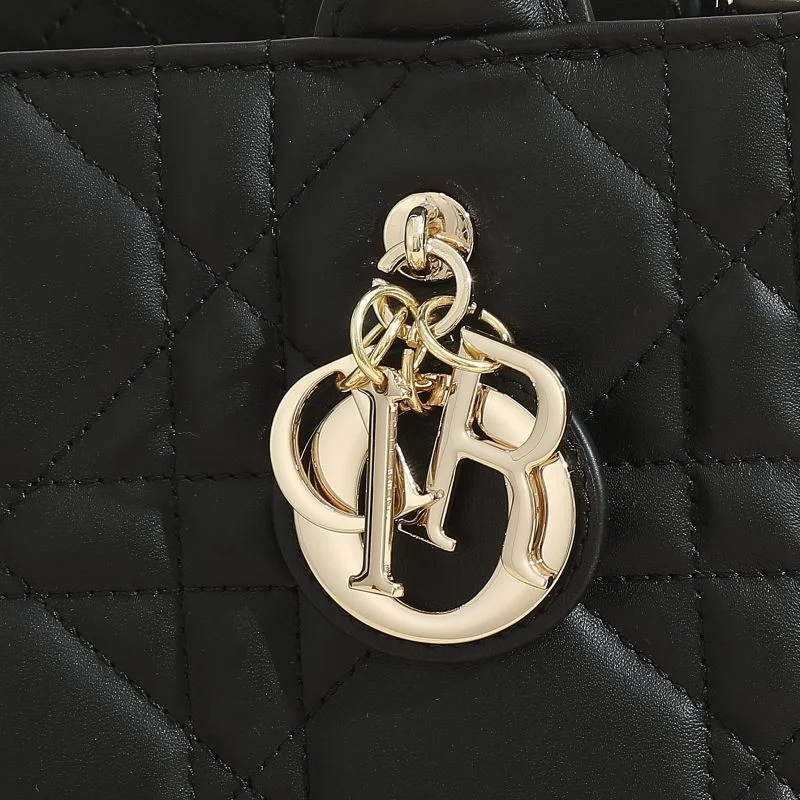 Classic Christian Dior Shopping Bags 46175