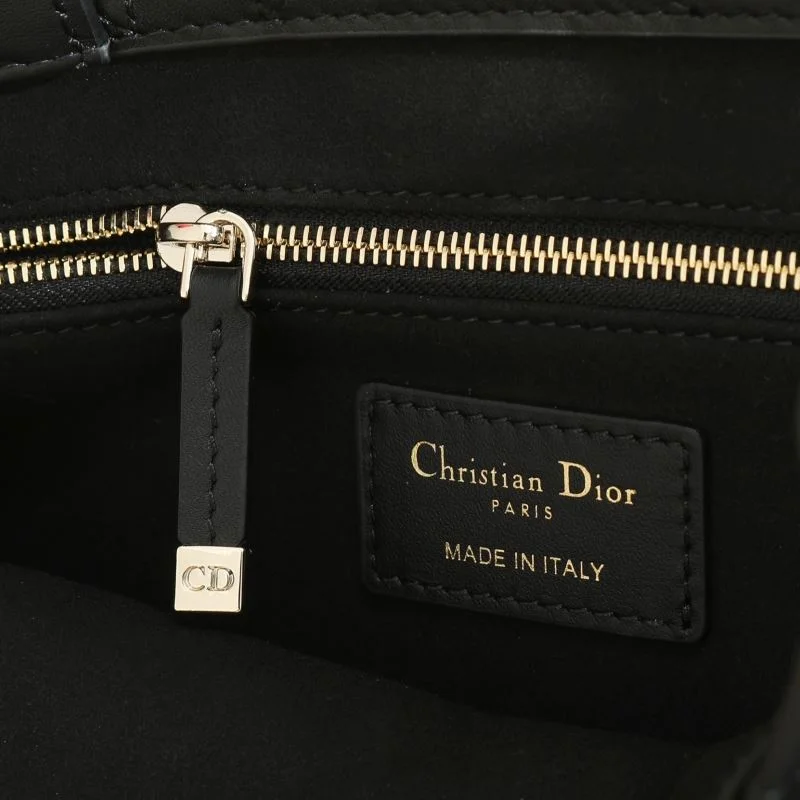 Classic Christian Dior Shopping Bags 46175