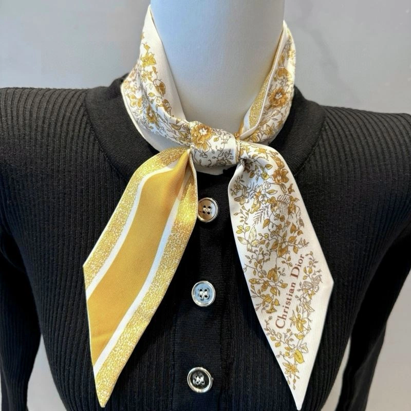 Christian Dior Silk TopPick 272343