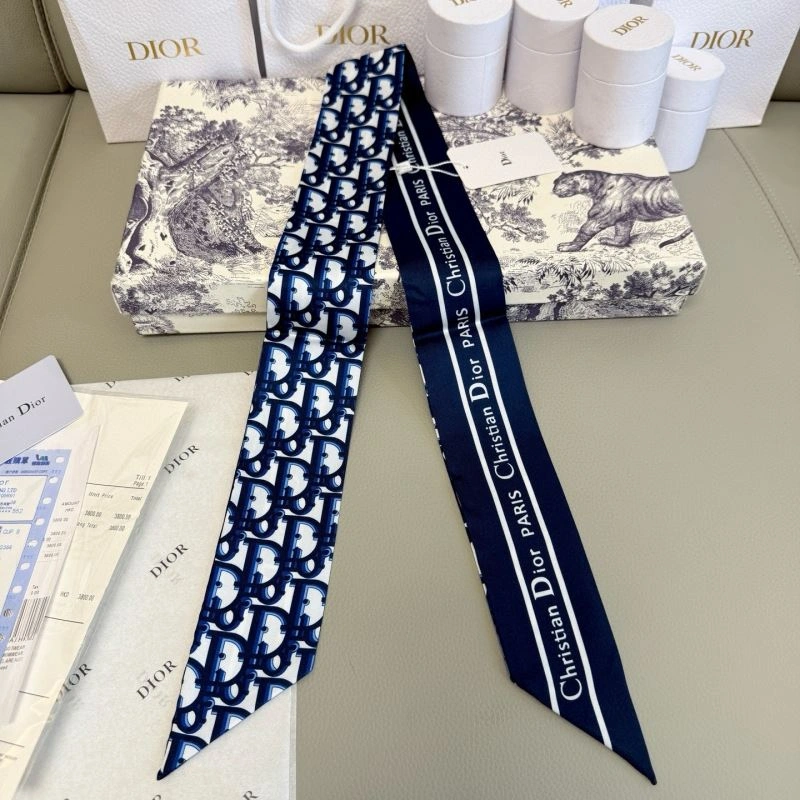 DailyWear Christian Dior Silk 272313