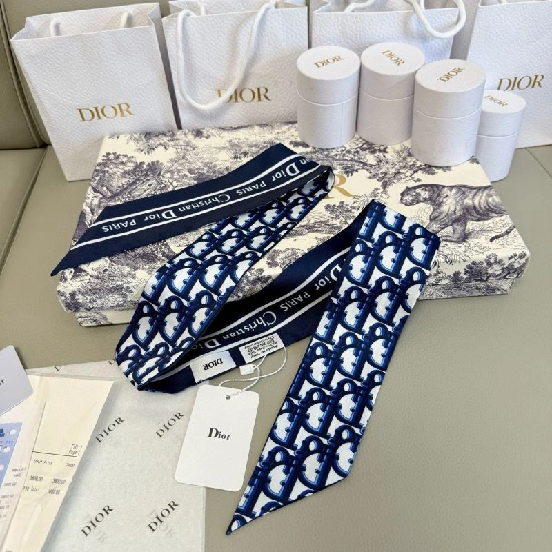 DailyWear Christian Dior Silk 272313