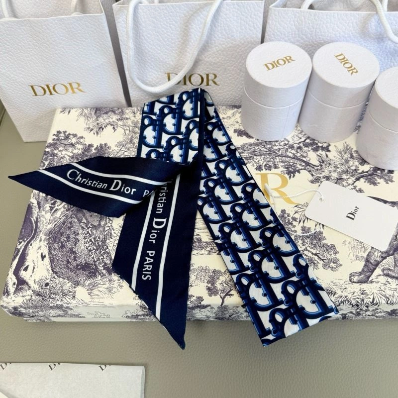 DailyWear Christian Dior Silk 272313