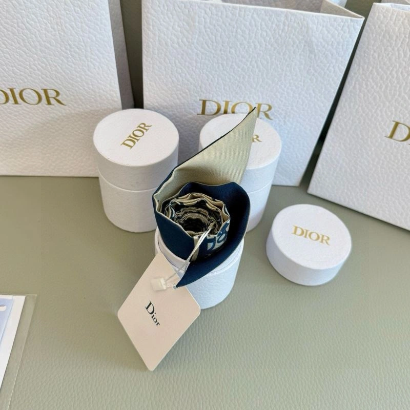 TravelReady Christian Dior Silk 272306