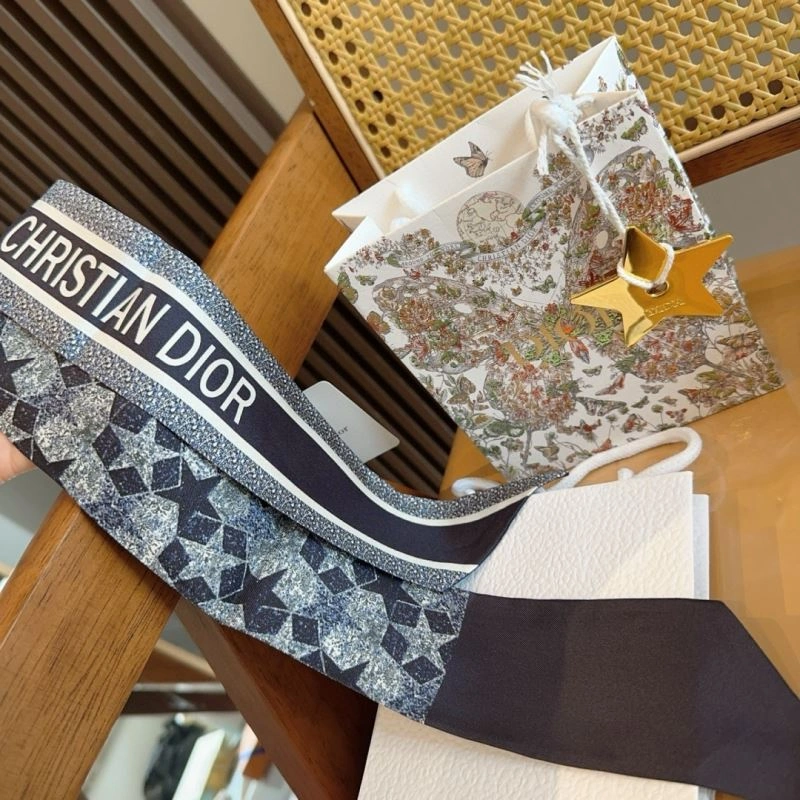 Christian Dior Silk Fashionable 273006