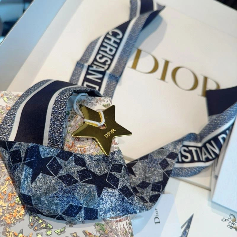 Christian Dior Silk Fashionable 273006