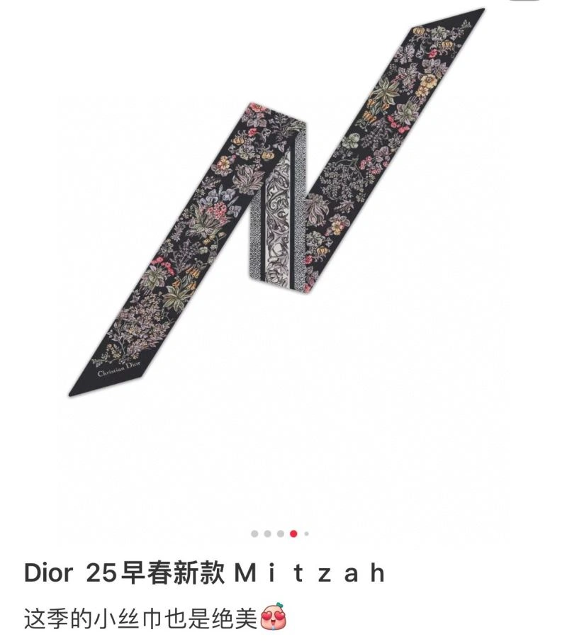 Christian Dior Silk Stylish 272974