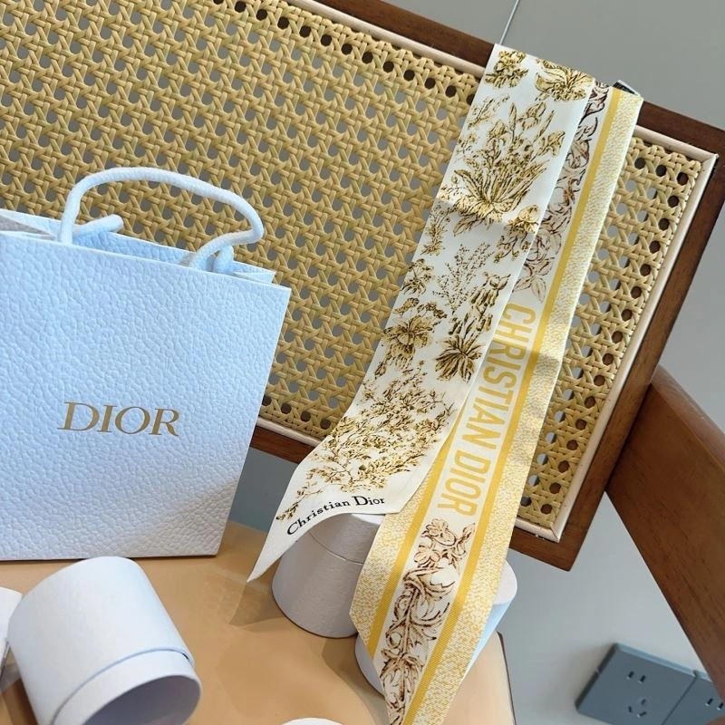 Packable Christian Dior Silk 272972