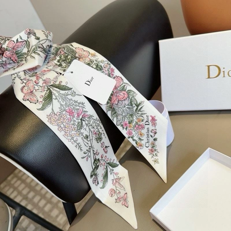 Minimalist Christian Dior Silk 272969