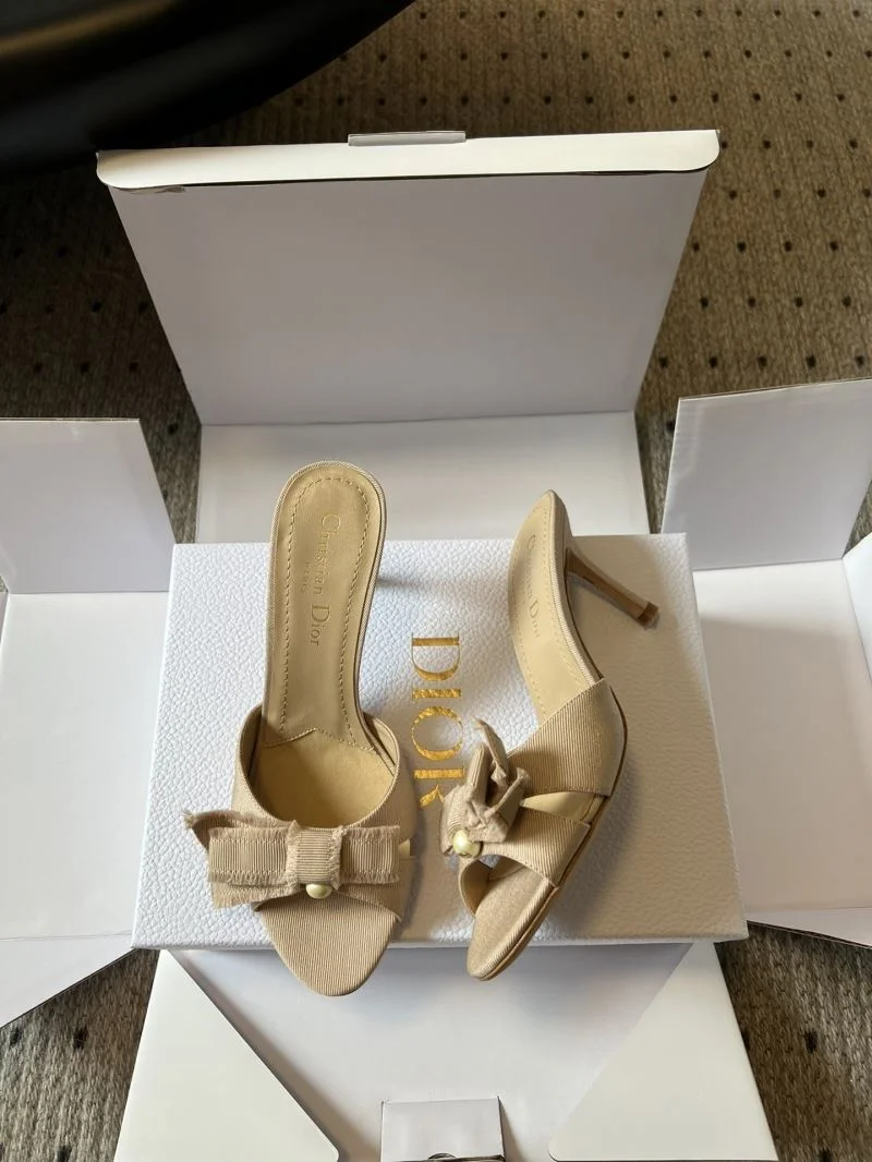 Premium Christian Dior Slippers 21139