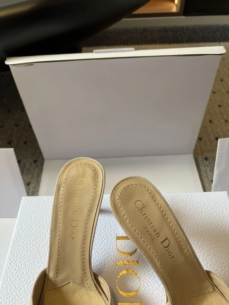 Premium Christian Dior Slippers 21139