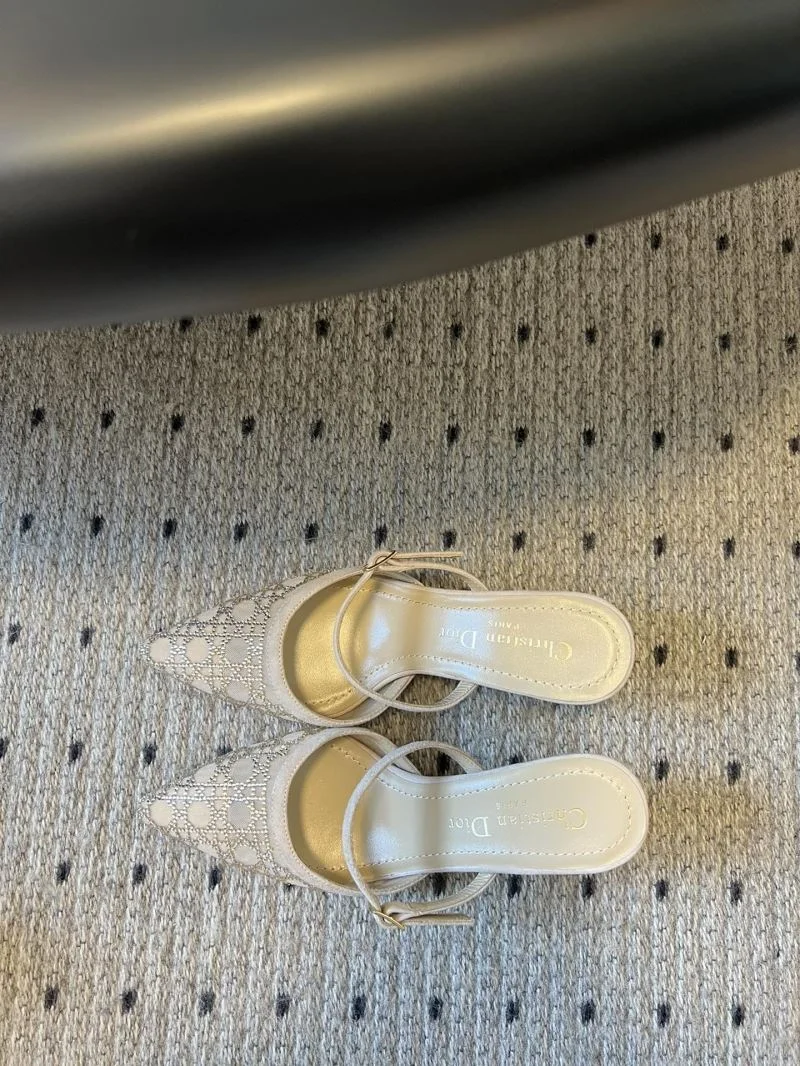 Comfortable Christian Dior Slippers 21134