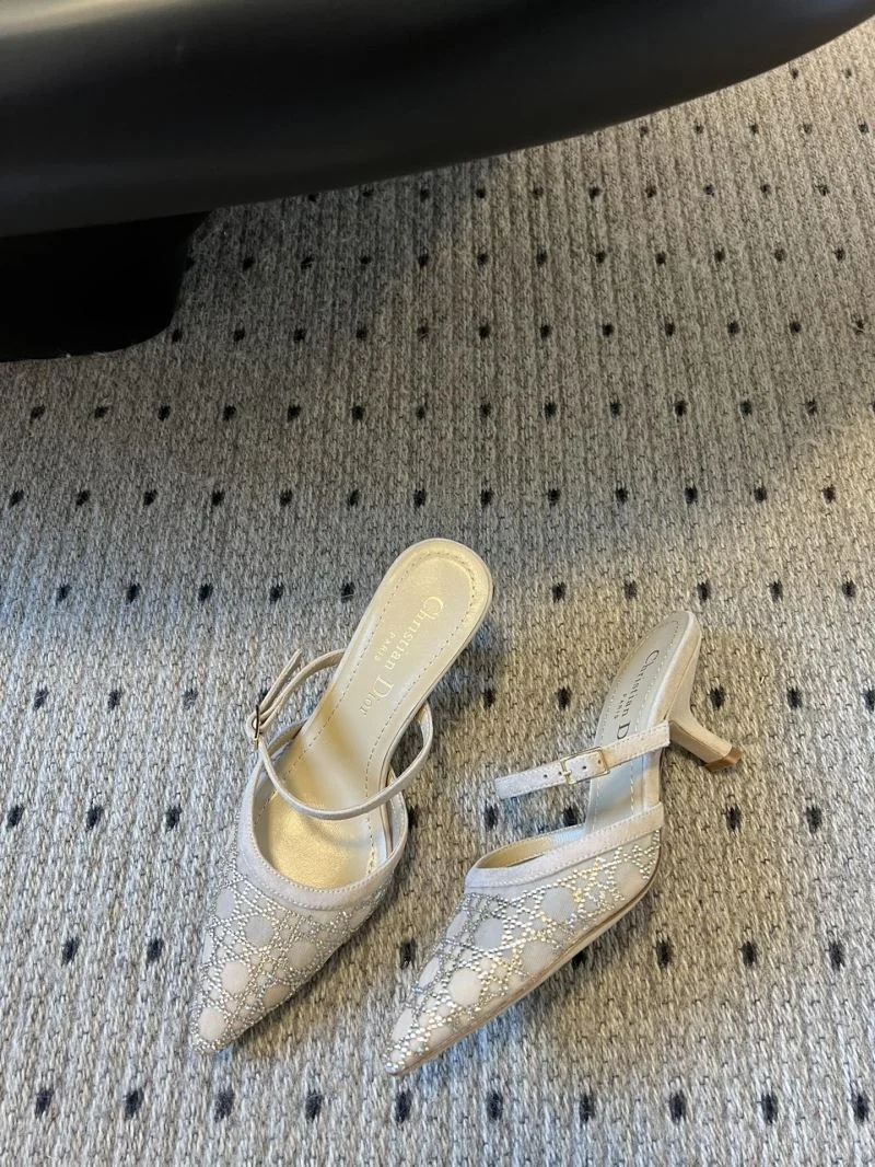 Comfortable Christian Dior Slippers 21134