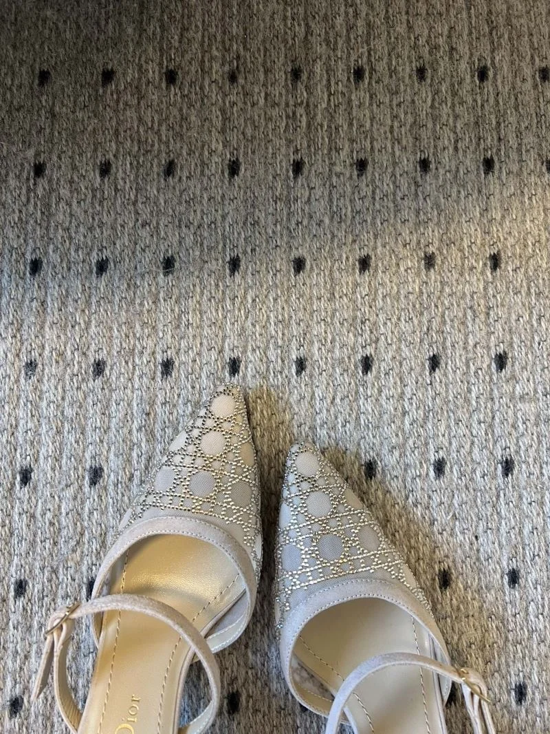 Comfortable Christian Dior Slippers 21134