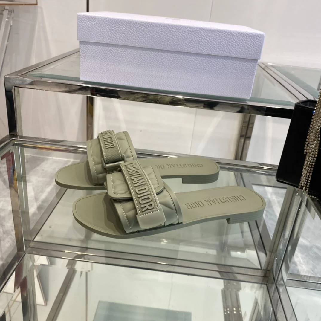 TechFriendly Christian Dior Slippers 21123