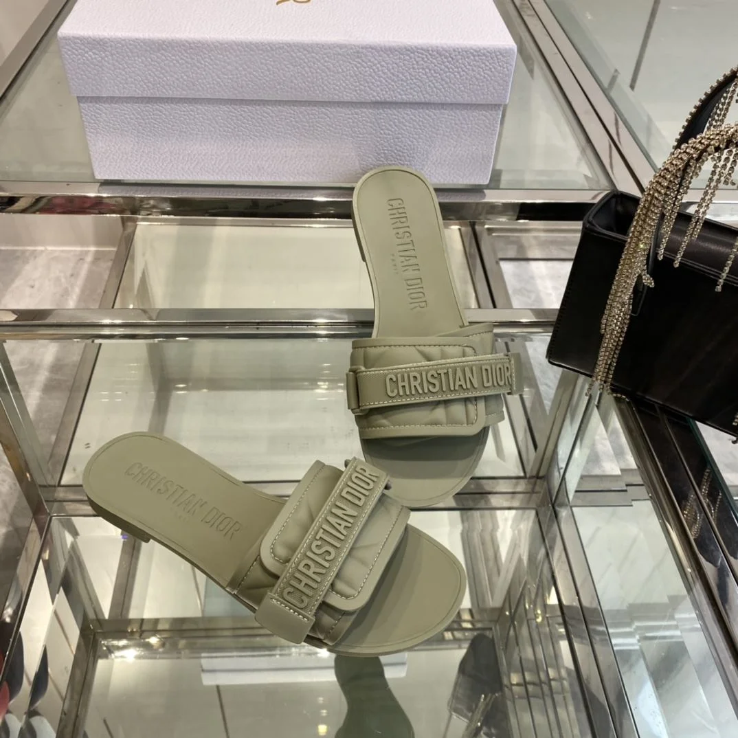 TechFriendly Christian Dior Slippers 21123