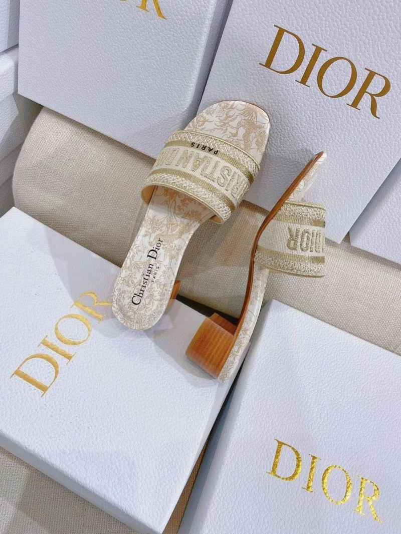 Christian Dior Slippers Versatile 21893