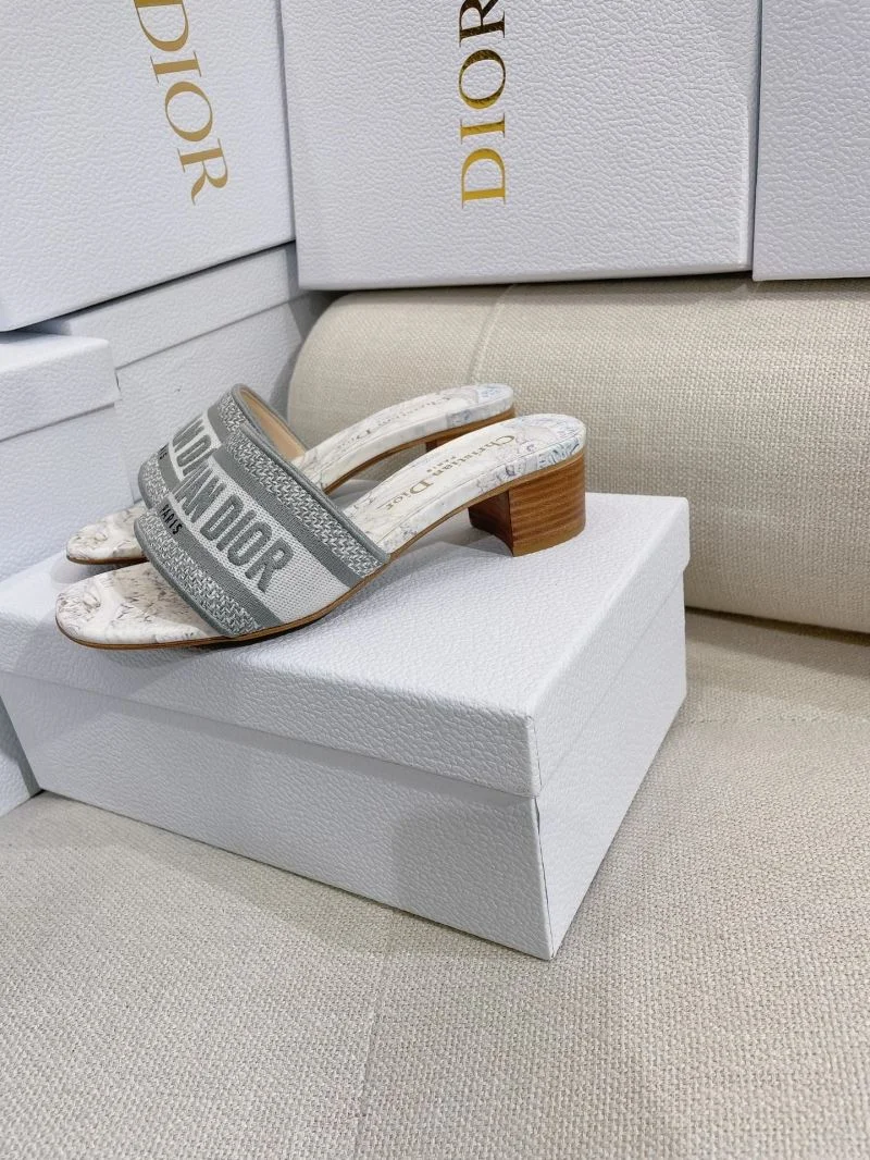 Practical Christian Dior Slippers 21882