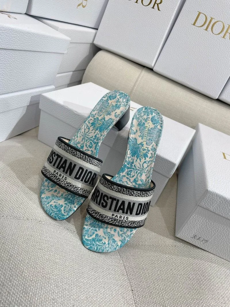 AllSeason Christian Dior Slippers 21873